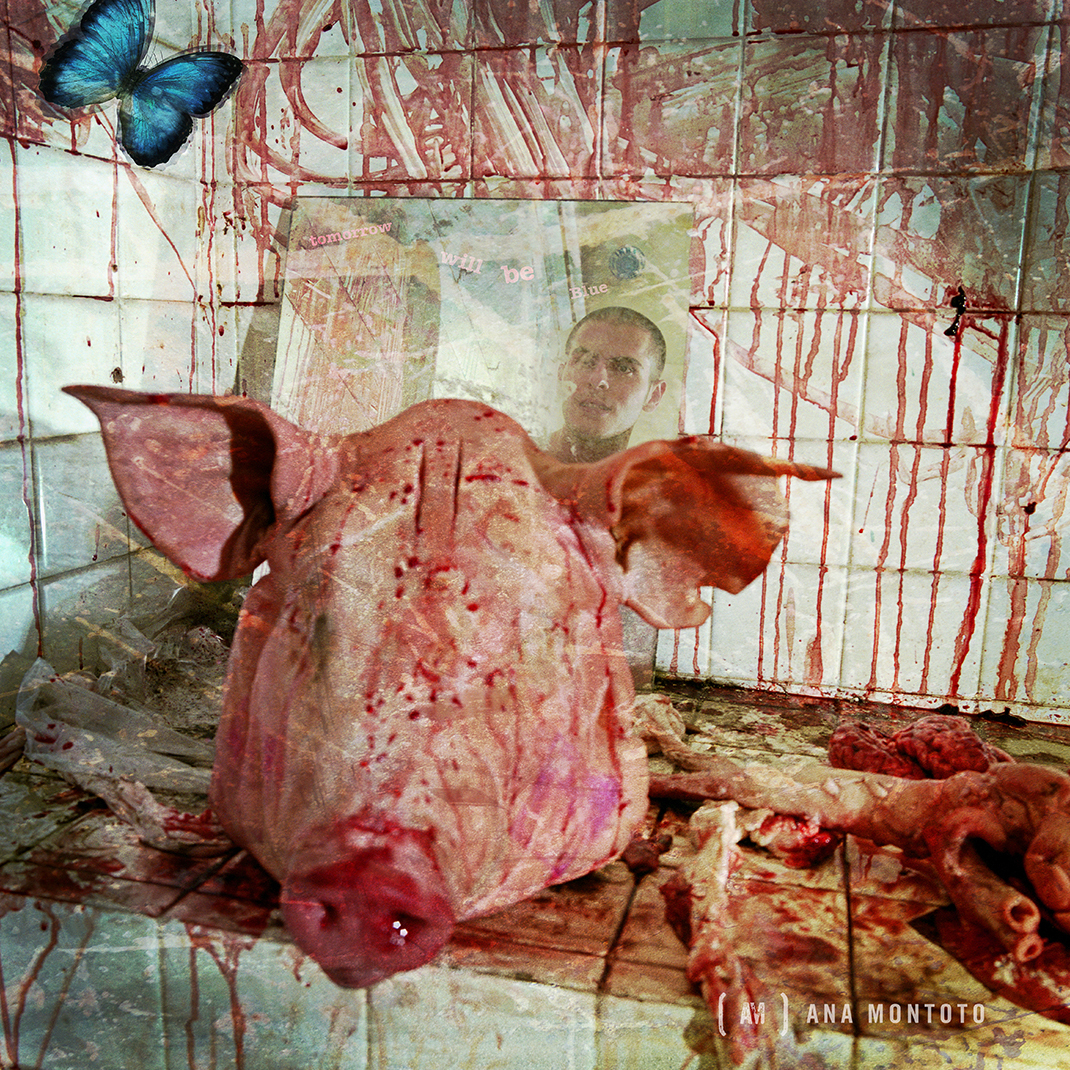 Tomorrow will be blue